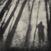 Mark Kingさんの写真