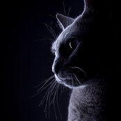 Karmel Holmes's photo