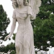 Foto von Dolores Plate