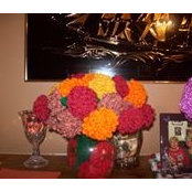 Janet Bradford Eravi's photo