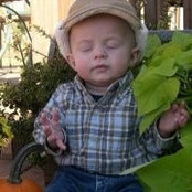 Stacy Cribbs's photo