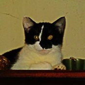 Foto von Leigh Wagor