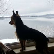 Sylvie Bernier Lagace's photo