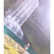 Tiffany McDonald's photo