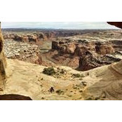 Connie Reys foto