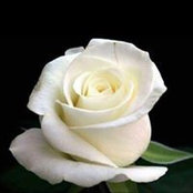 Jennifer Kuspa's photo