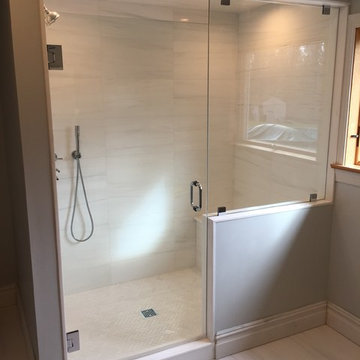 Frameless Door and Buttress Panel