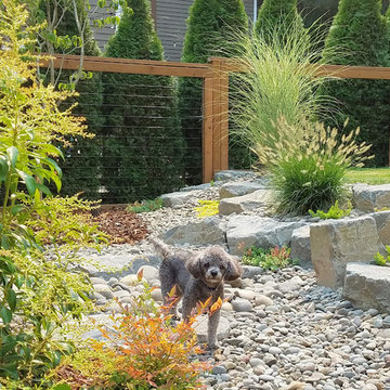 Dog Friendly Landscape