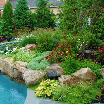 Pool Landscapes