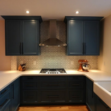 Ground Floor Open Concept Renovation in a Toronto Semi