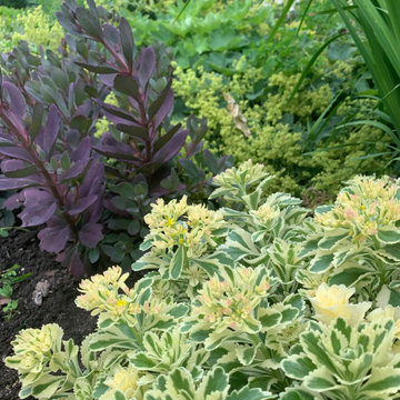 Saint Paul Tudor Garden