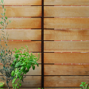 Cedar fence