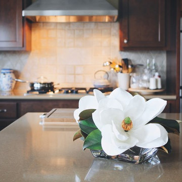 Timeless Magnolia: Permanent Botanicals In The Home