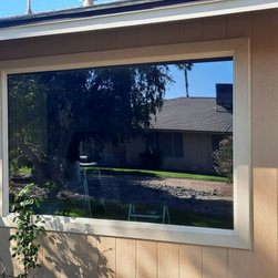 Vinyl Picture or Fixed Window - Windows