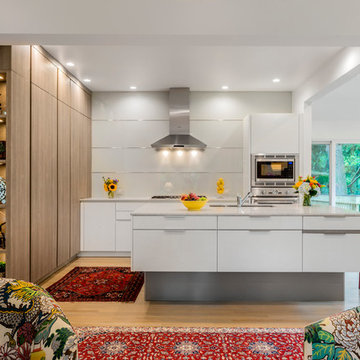 Modern modes in an eclectic Brookline, MA abode