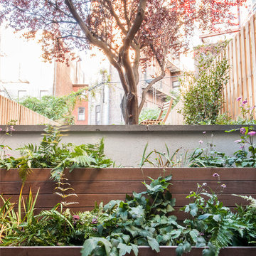 Eco House & Garden