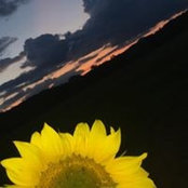 Denise Doleno's photo