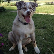 Doug Wetzel's photo