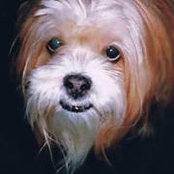 Teri Cadarette Kuhn's photo