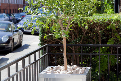 Design ideas for an industrial garden in London.