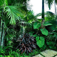 miami home