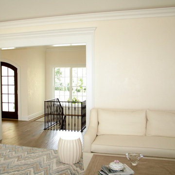 Italian Plaster