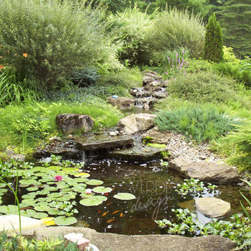 Jardin aquatique
