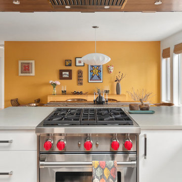 Sammamish - Mid-Century Modern Kitchen