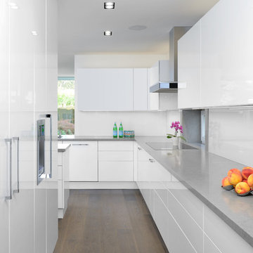 North Toronto Home- Kitchen