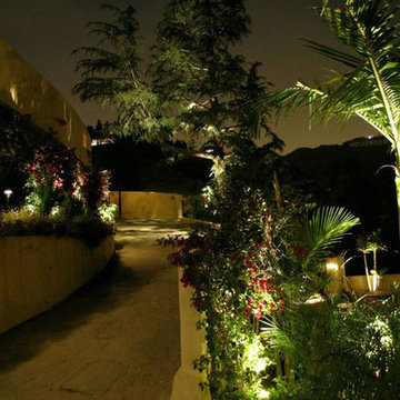 Hollywood Hills Landscape Lighting