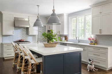 Kitchen - transitional kitchen idea in DC Metro