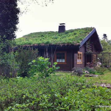Wohldorf-Ohlstedt green roof near Hamburg, Germany