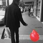 Sam Court's photo