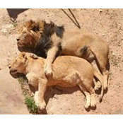 Razvan Grigoras's photo