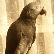 Suzanne O'Handley's photo