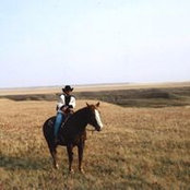 Paula Armstrong's photo