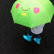 Phoebe Sellaroli's photo