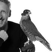 Nik Hafermaas's photo