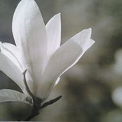 Joseph Otero's photo