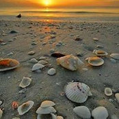 Matilda Lazeri's photo