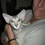 Vicki Henslee's photo