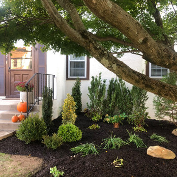 Tutor front yard