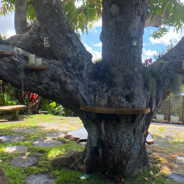 100 Year Old Tree Bench