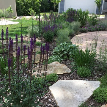 Salvia and flagstone walk