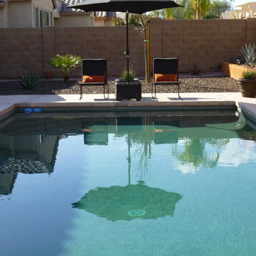 Calavar, Surprise, AZ