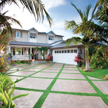 Island Elegance
