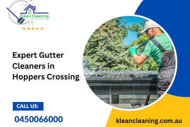 Gutter Cleaning