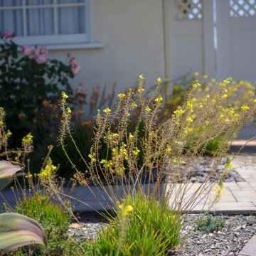 Costa Mesa