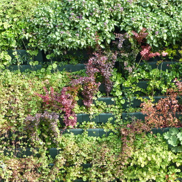 Façade végétalisée / Mur végétal extérieur VERTICAL FLORE