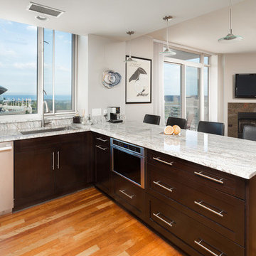 South Loop Kitchen Remodeling